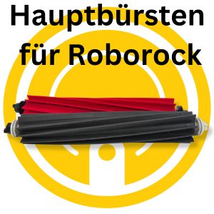 icon-roborock-hb.jpg
